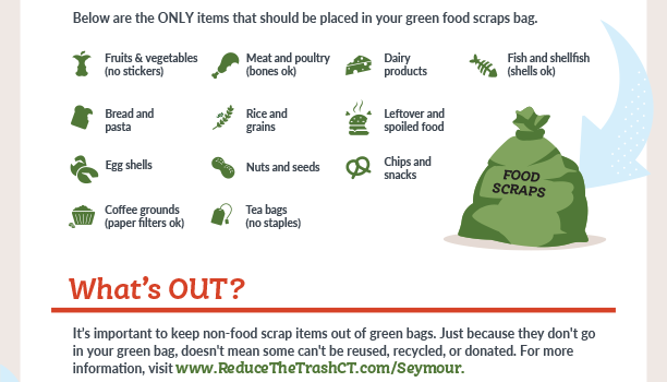 What's In What's Out Food Scraps Flyer