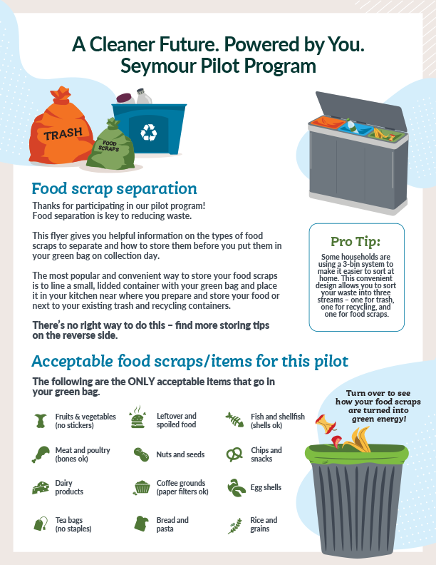 What's In What's Out Food Scraps Flyer