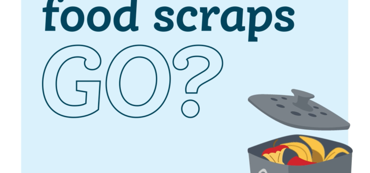 Seymour Where Do Food Scraps Go Video